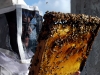 apiculture13