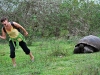 Tortoise attack!