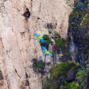 Cañón del Sabino Cañón del Sabino