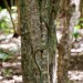 cenotes-14 thumbnail