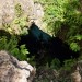 cenotes-4 thumbnail