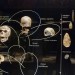 anthropology-museum-6 thumbnail