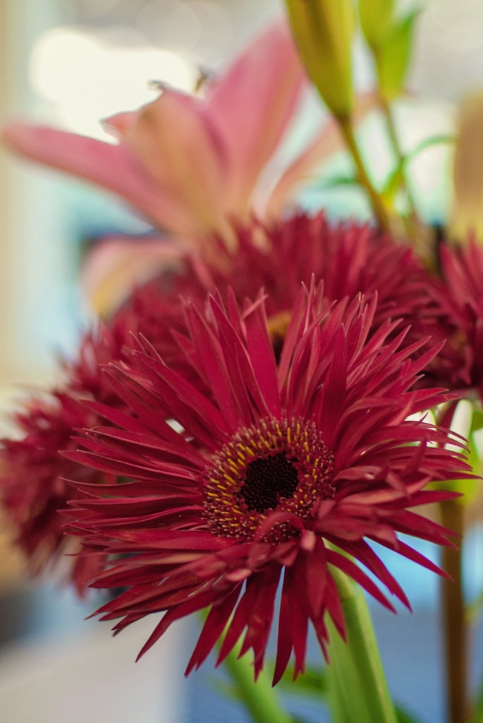 birthday-flowers-2013-3