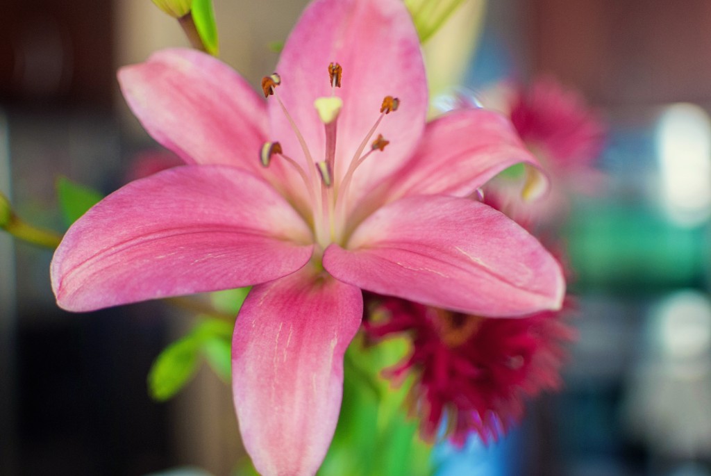 birthday-flowers-2013-4